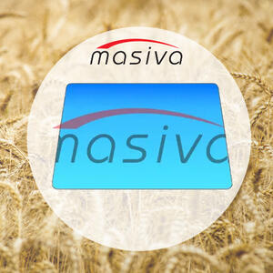 Stakla, gume stakla i amortizeri