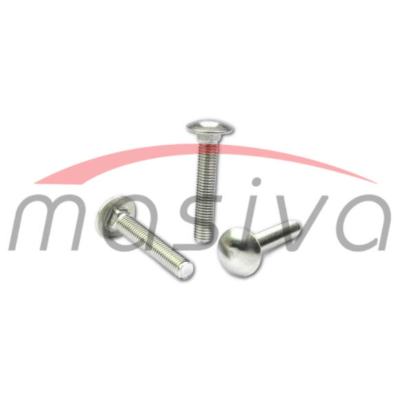 VIJAK 603 M10X30 TORBAN-1