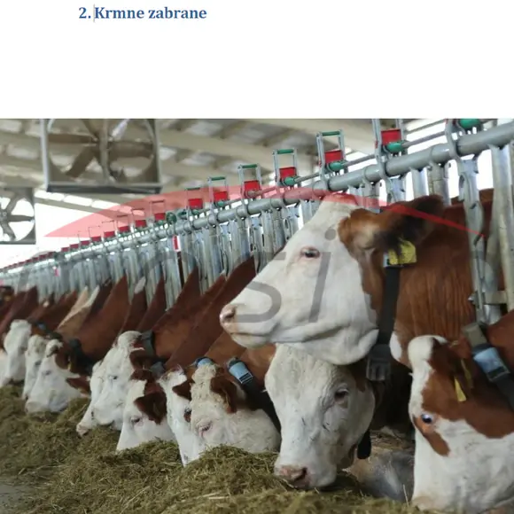 KRMNA ZABRANA ZA KRAVE-4