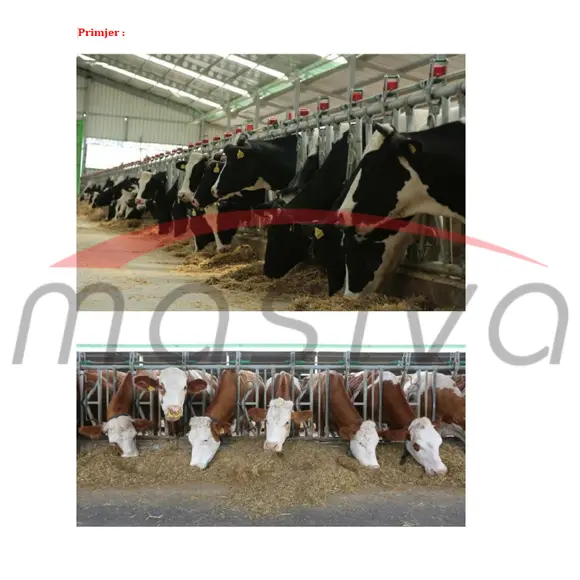 KRMNA ZABRANA ZA KRAVE-8