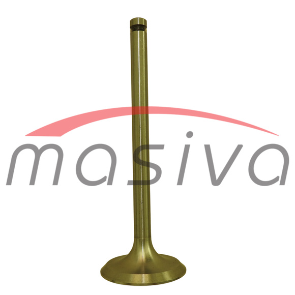 VENTIL USISNI IMT-533 IMO33 IMT-539 M33 IMT-560 M34    702730    IN-0