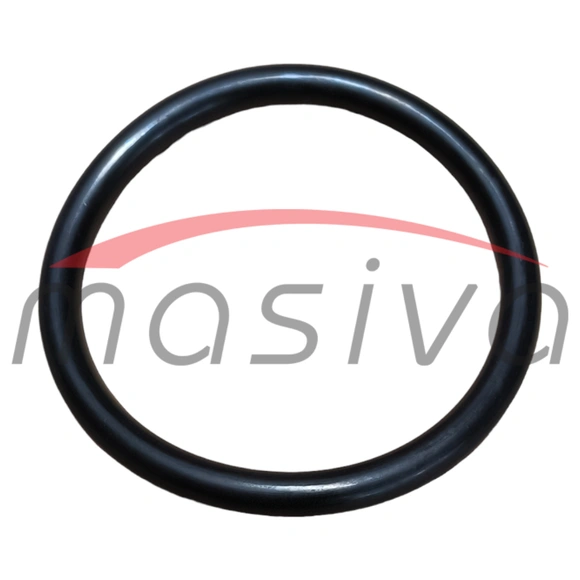 ORING 65X55 ZETOR (NA MAGNETU)-1
