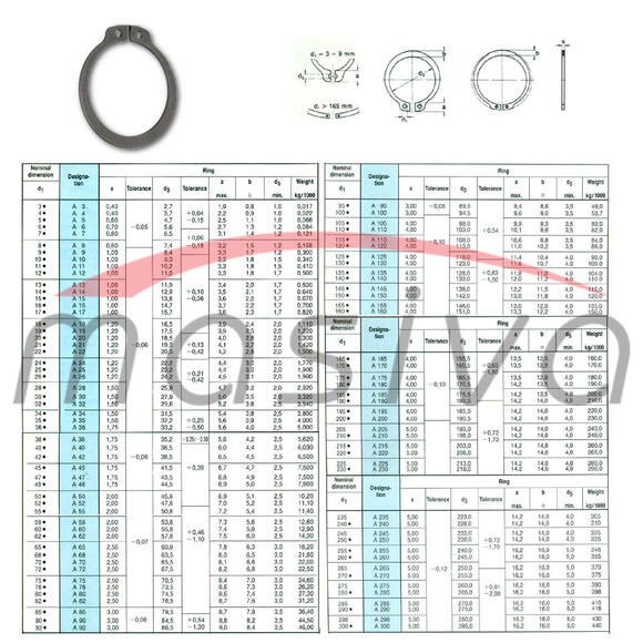 SEGER PRSTEN V.  18-1