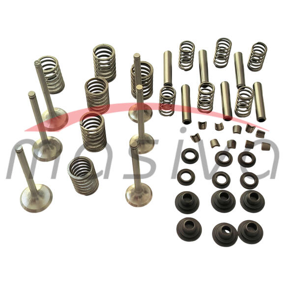 SET ZA REPARACIJU GLAVE MOTORA IMT-549 DM 33-1