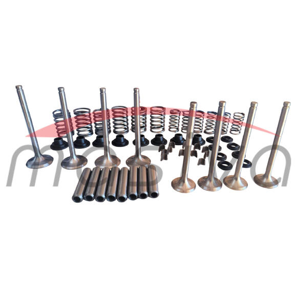 SET ZA REPARACIJU GLAVE MOTORA IMT-558/560  R-60-1