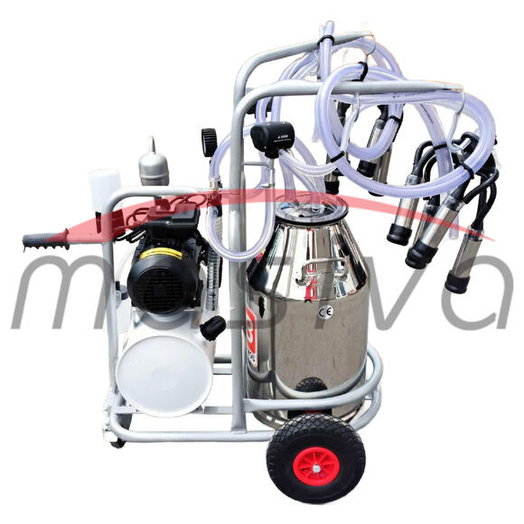 MUZILICA ZA KRAVE 2 JEDINICE, 1 KANTA 40l - ULJNA PUMPA, CRNE SISNE G., MASIVA-3