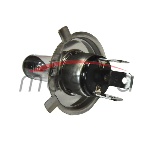 ŽARULJA 12V H-4 55/60-1