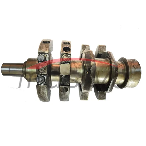 RADILICA URSUS C-330-335-0