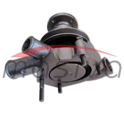 PUMPA VODE TAFE 42 DI-1