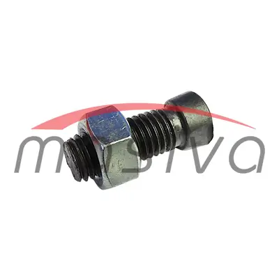 VIJAK RAONIKA VOGEL NOOT M12 X 35 DVA ZUBA-4