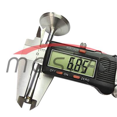 VENTIL USISNI LOMBARDINI 15LD 400/440 ZAMJENSKI DIO-1