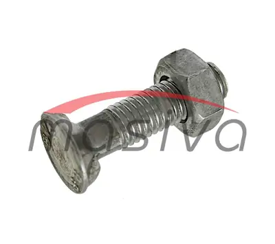 VIJAK RAONIKA VOGEL NOOT M10 X 35