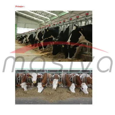 KRMNA ZABRANA ZA KRAVE-8