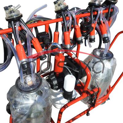 MUZILICA ZA KRAVE 4 JEDINICE, 2 KANTE 40l - CRNE SISNE GUME, ULJNA PUMPA, V-2