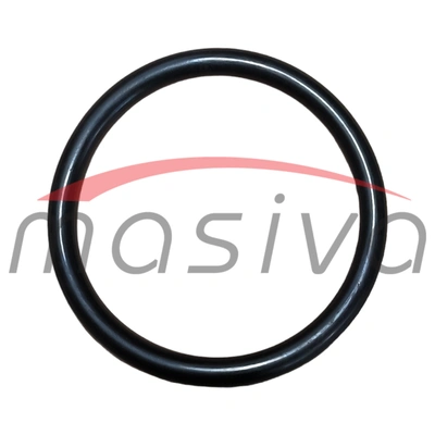 ORING 65X55 ZETOR (NA MAGNETU)-0