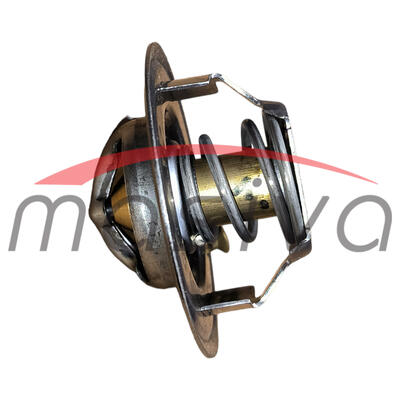 TERMOSTAT RENAUT CARES ERGOS