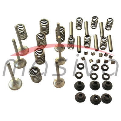 SET ZA REPARACIJU GLAVE MOTORA IMT-549 DM 33-1