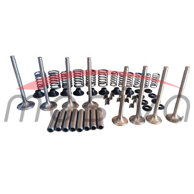 SET ZA REPARACIJU GLAVE MOTORA IMT-558/560  R-60-1