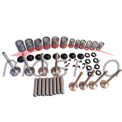 SET ZA REPARACIJU GLAVE MOTORA IMT-558/560  R-60-13