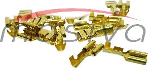 FASTON ŽENSKI 50 /1