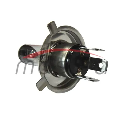 ŽARULJA 12V H-4 55/60-1