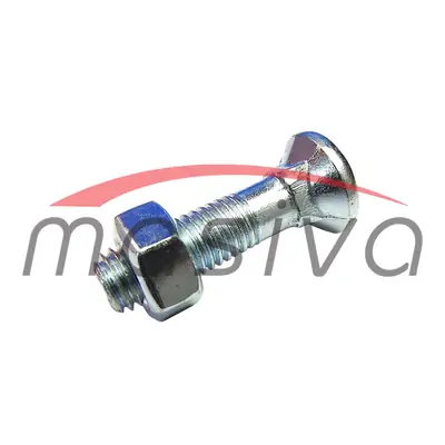 VIJAK RAONIKA M 12 X 45, 10,9 S MATICOM-4