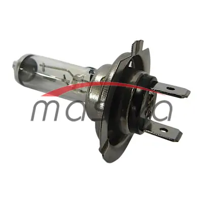 ŽARULJA 12V H-7  55W