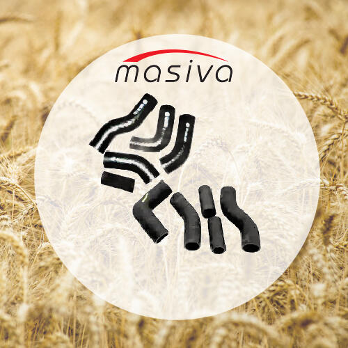 Crijeva i dijelovi crijeva